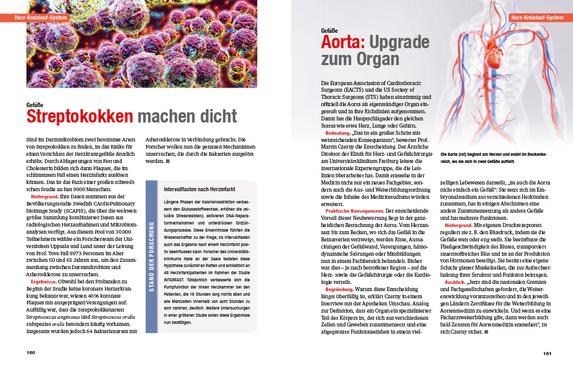 Das Neueste aus der Medizin 2025/2026 - Image 9