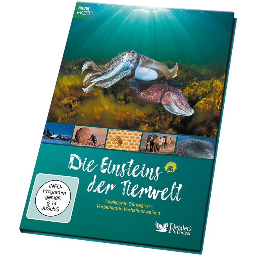 Die Einsteins der Tierwelt - Intelligente Strategien - Verblüffende Verhaltensweisen