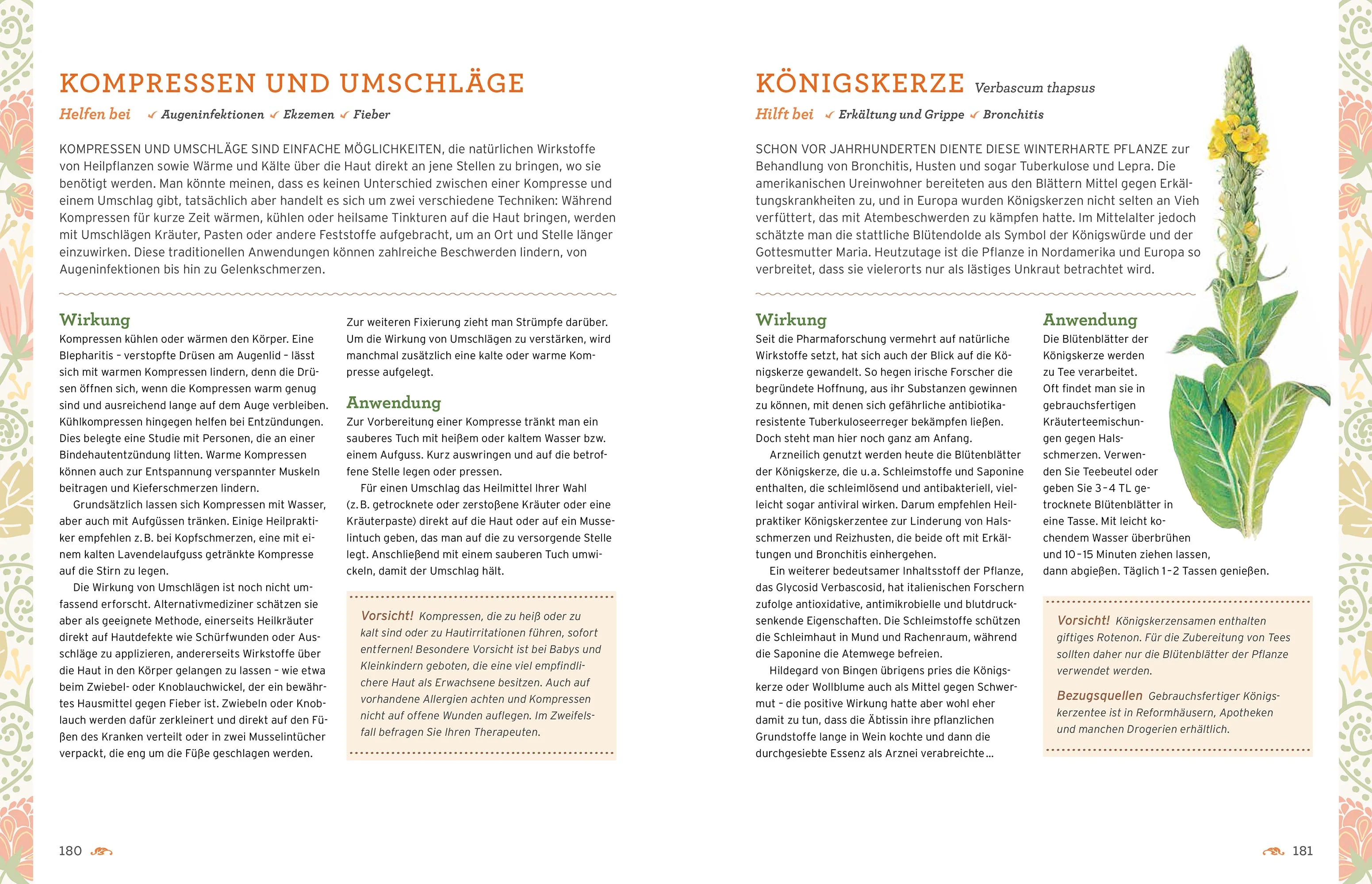 Natürliche Heilverfahren - von Ärzten empfohlen - Image 7