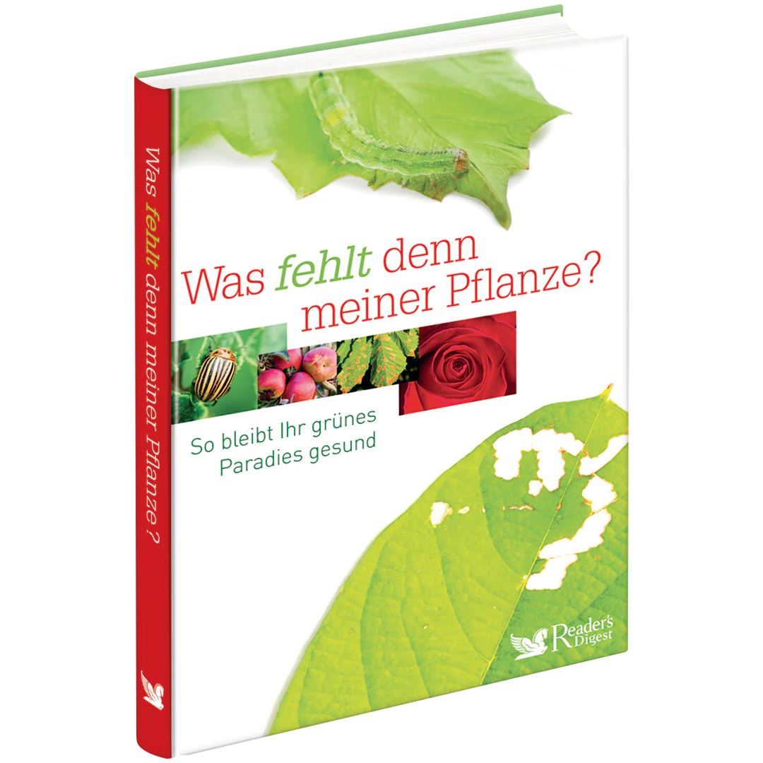 Pflanzen-Pflege 2er-Set - Image 2