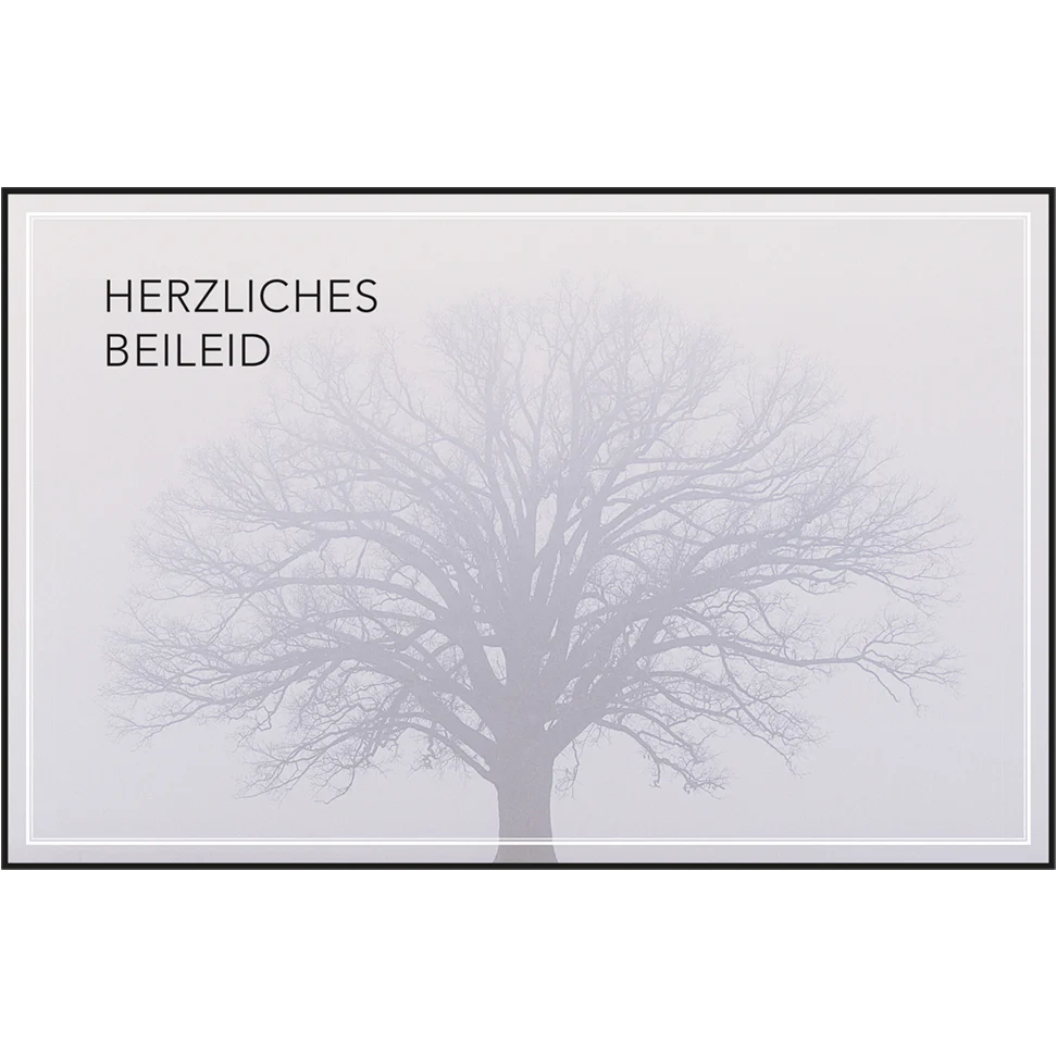 Trauerkarten-Set mit Buch - Image 7
