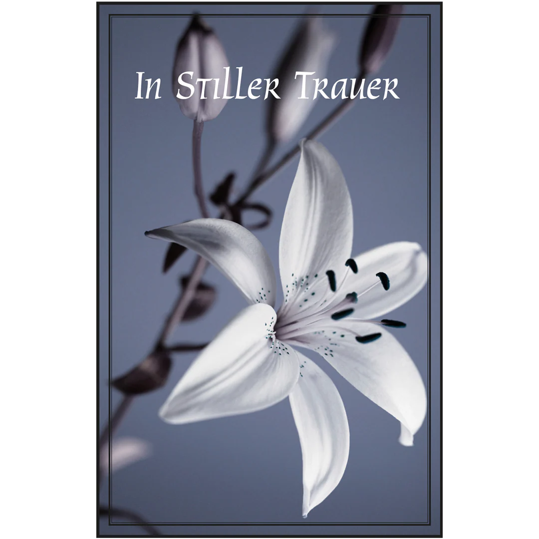 Trauerkarten-Set mit Buch - Image 9
