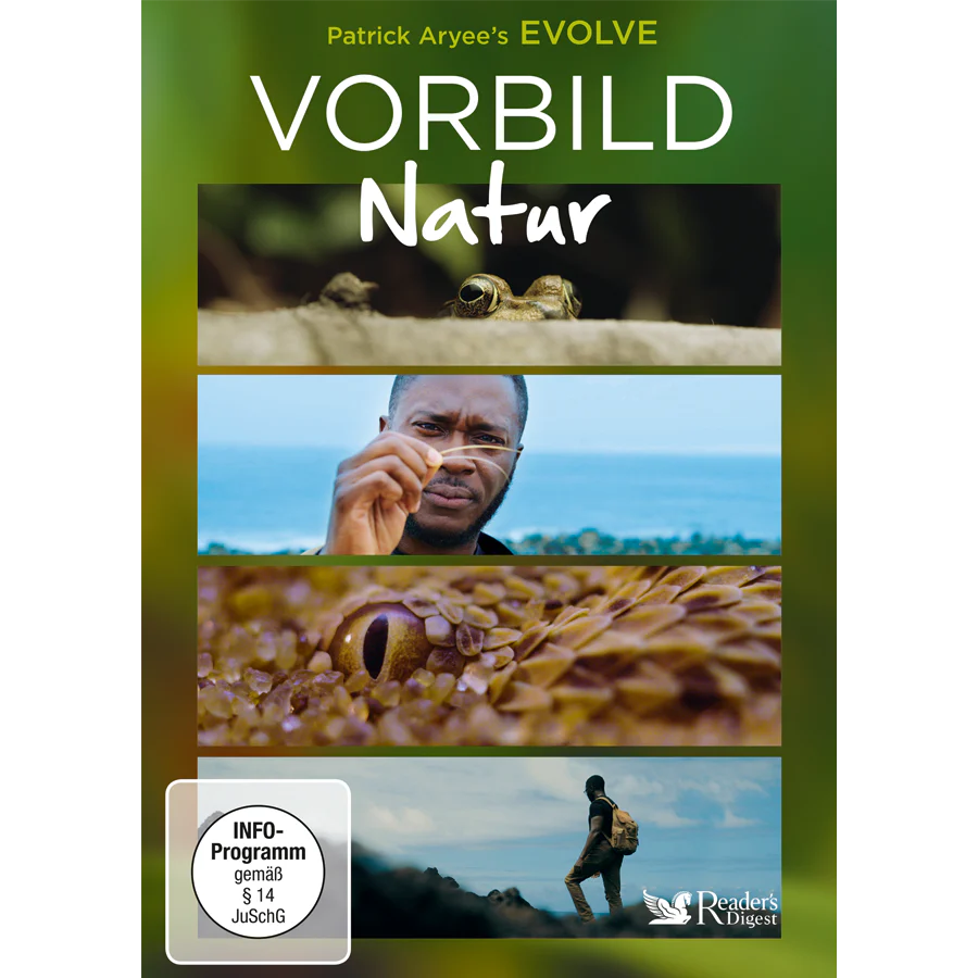 Vorschaubild 2