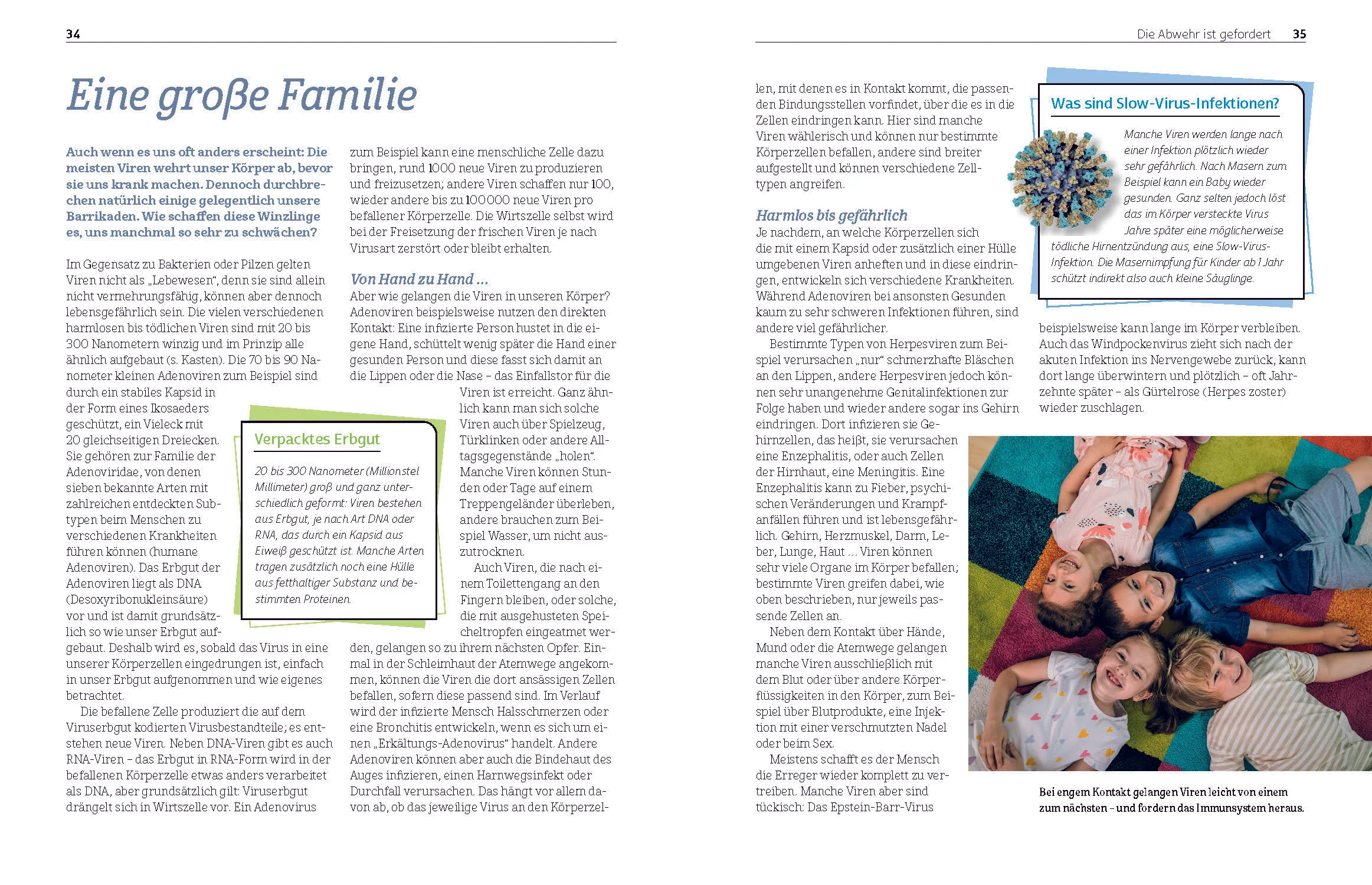 Was das Immunsystem stark macht - Image 4