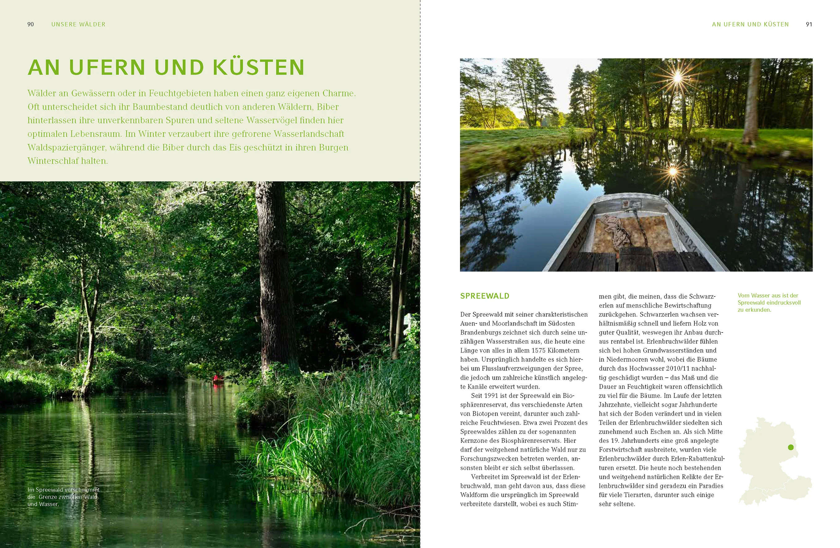 Zauber und Schönheit unserer Wälder - Image 4